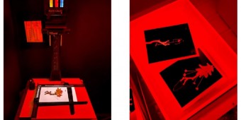 Photogram Printmaking Workshop