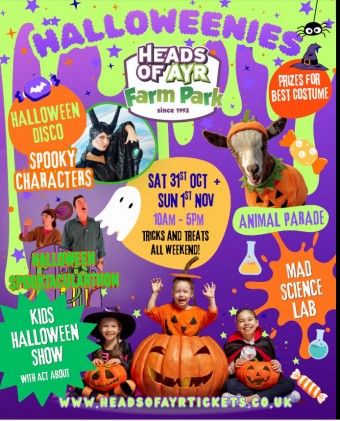 Halloweenies at Heads of Ayr Farm Park